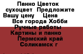 Панно Цветок - сухоцвет. Предложите Вашу цену! › Цена ­ 4 000 - Все города Хобби. Ручные работы » Картины и панно   . Пермский край,Соликамск г.